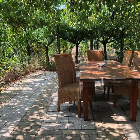 Szendergo - Apartman Hajos Pincefalu Ngoại thất bức ảnh